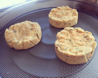 fromage fermenté basilic ciboulette au séchage - 1